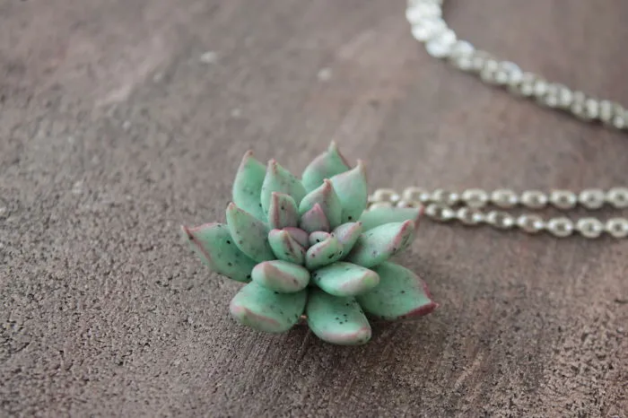 My Succulent Mania Grew Into Succulent Jewelry Business