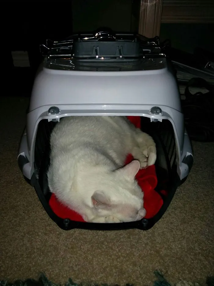 I Mock You, Cage Of Car Trips!