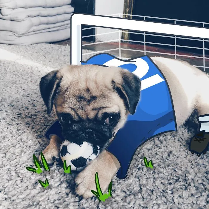 Not Selected For The Euro 2016