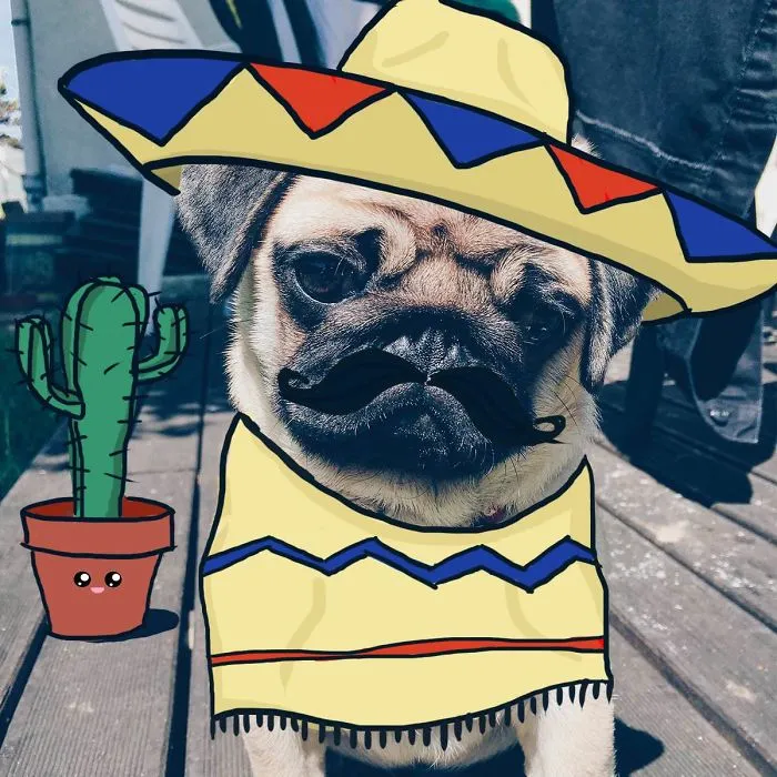 Señor Jorges