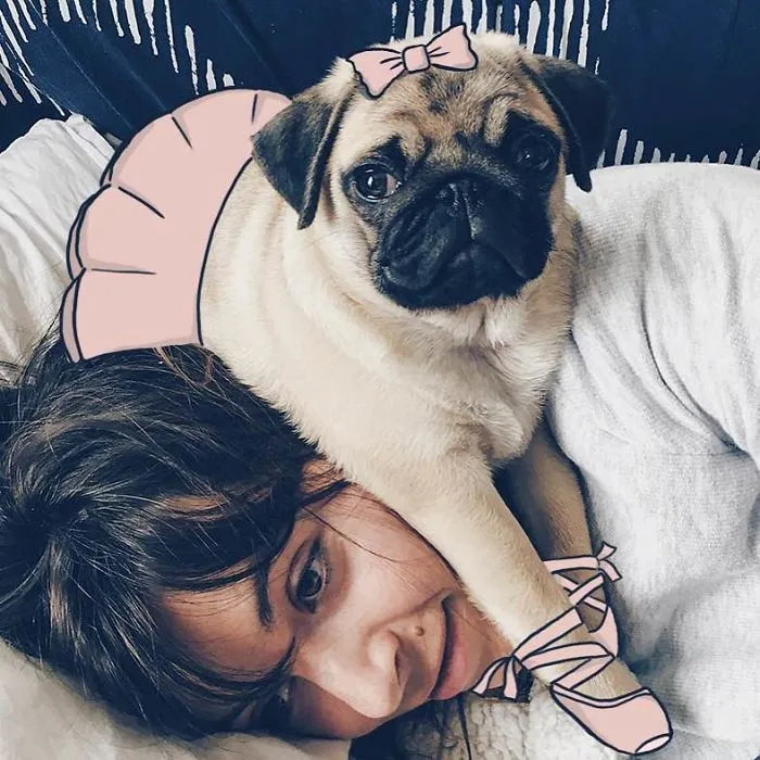 Pugrina
