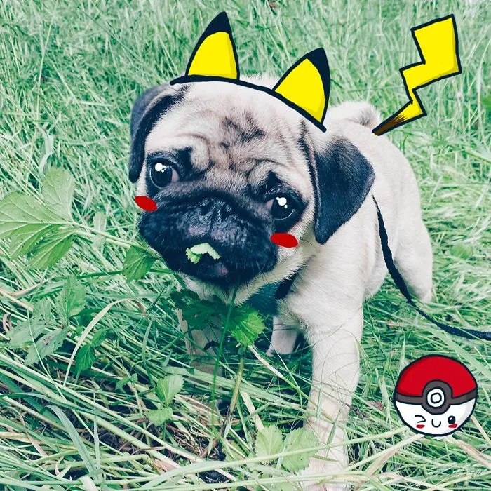 Pugachu