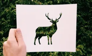 I Use Nature To Color Animal Paper Silhouettes (Part 2)