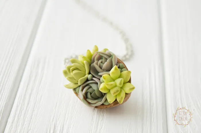 My Succulent Mania Grew Into Succulent Jewelry Business