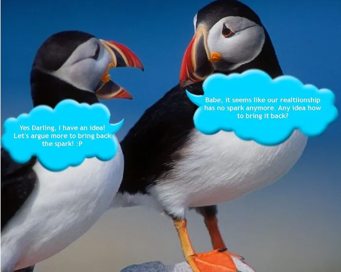 Light My Fire: Make These Two Birds Talk To Each Other