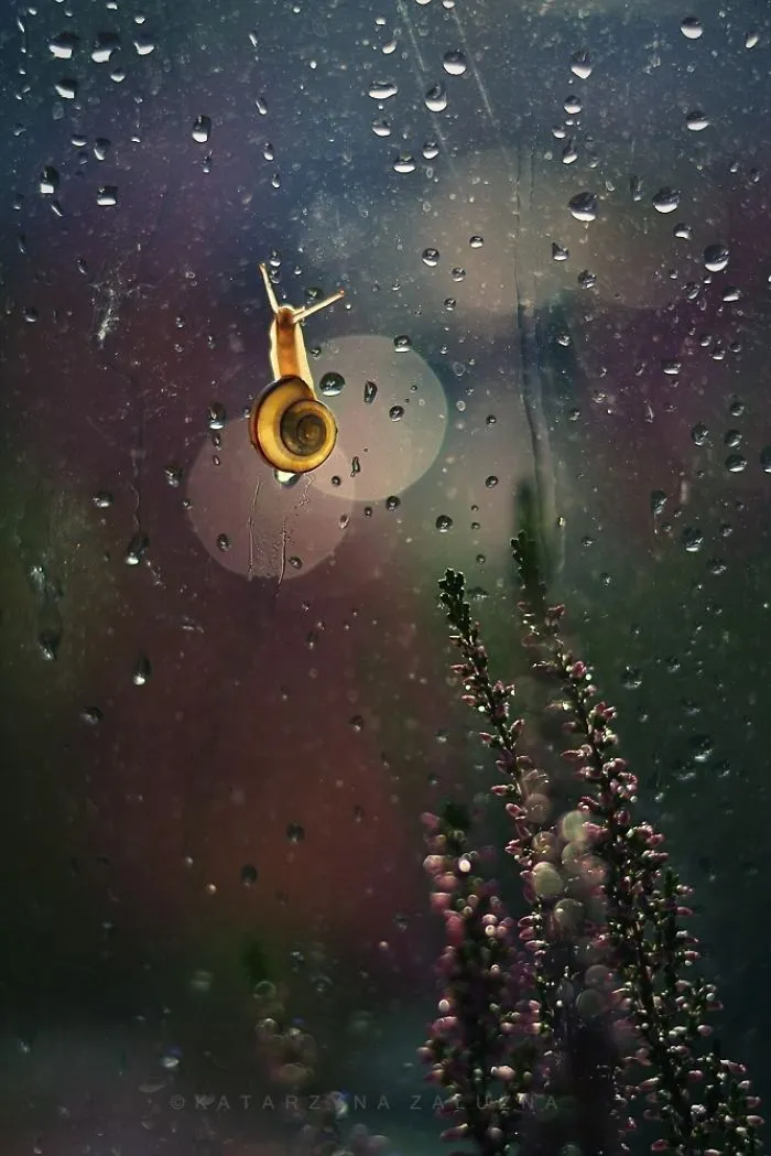 Little Yearning