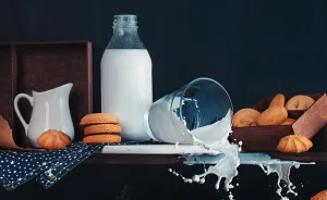 I Photograph Still Life Images In Action