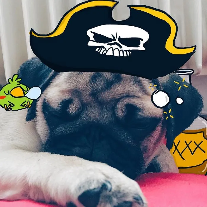 Arrrrr Matey
