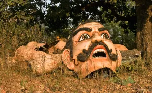 I Photographed The Miracle Robots Of India