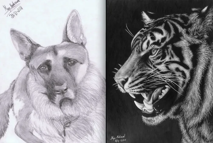 5 Years Of Practice (12 Vs 17 Years)