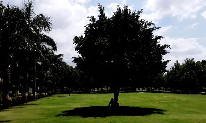 Photoshot Through Mobile - Man And Nature