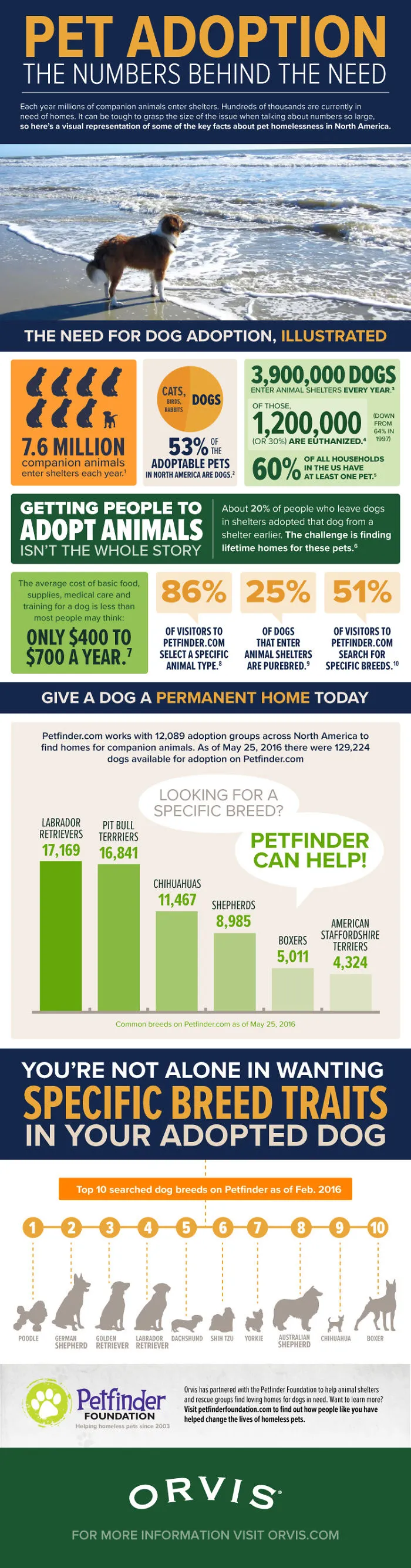 The Petfinder Foundation And Orvis Are Teaming Up To Find Forever Homes For Dogs In Need