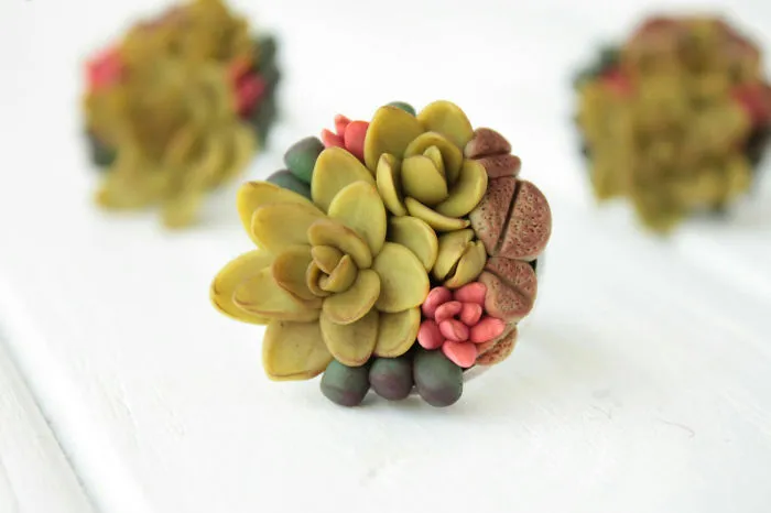 My Succulent Mania Grew Into Succulent Jewelry Business