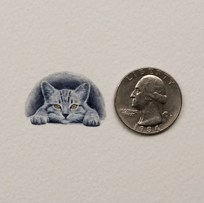 Tabby. A Tabby Cat With A Twist - It Can Fit Under A Quarter!