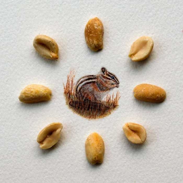 Chipmunk