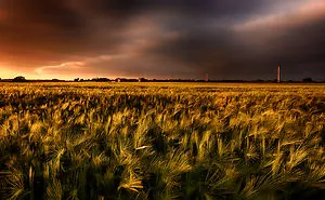 25 Year Old Photographer And Digital Artist From Romania And This Is Some Of My Work