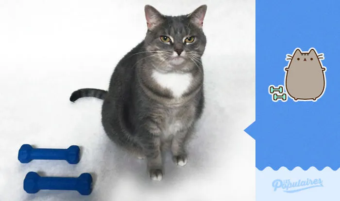 The Dumbbells