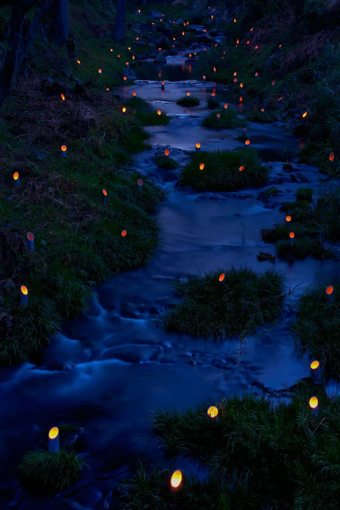 Bamboo Light Festival In Taketa, Ōita