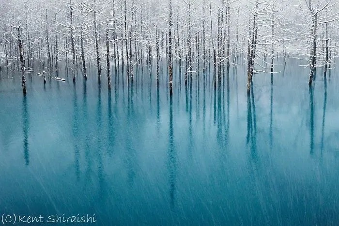Blue Pond In Hokkaido