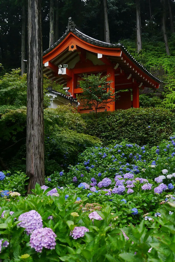Mimurotoji Temple