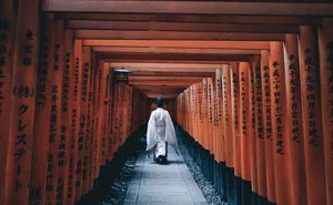 37 Reasons Travelers Say Japan Is Worth Visiting At Least Once