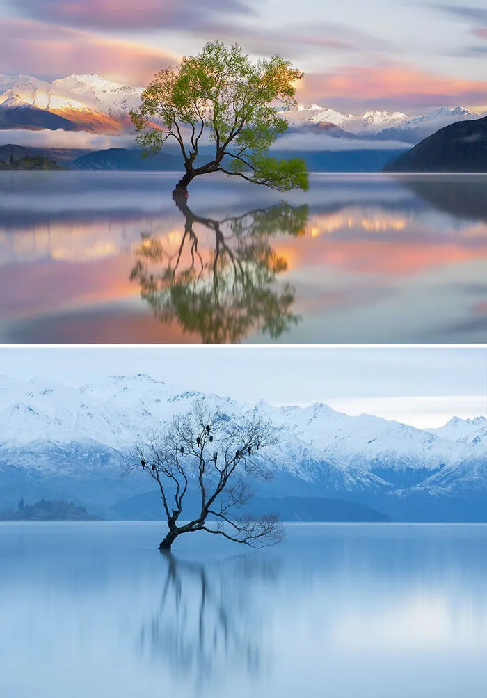 Lake Wanaka, New Zealand
