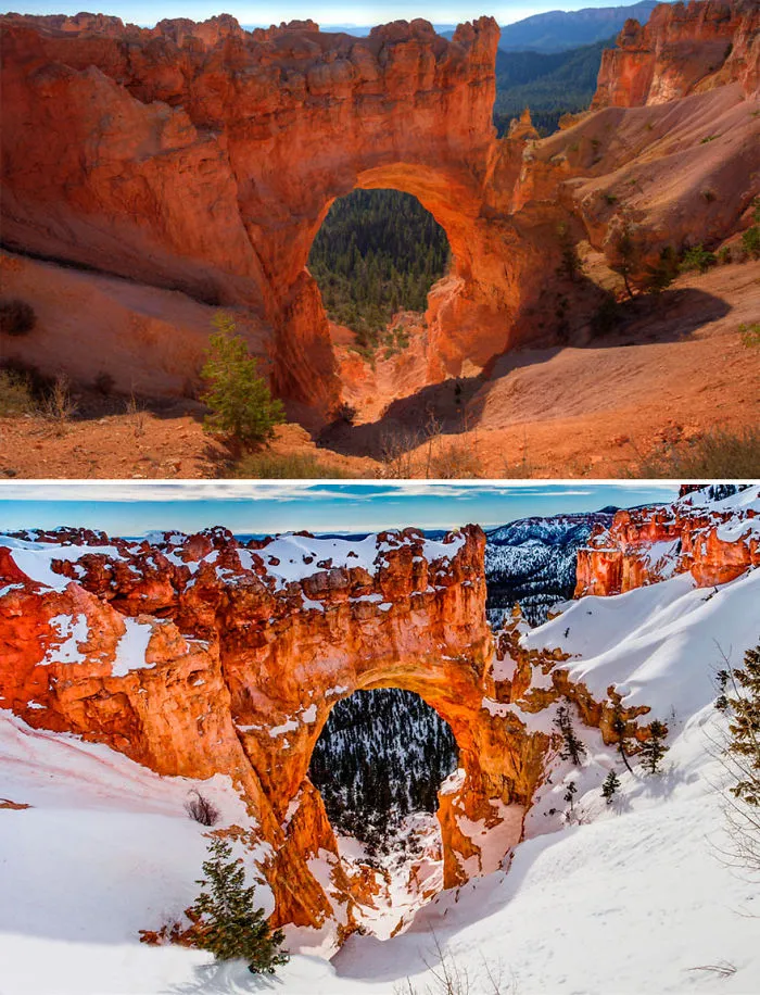 Bryce Canyon's Bridge, Utah, USA
