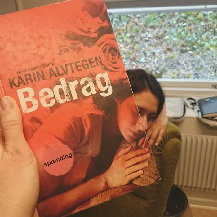 Bedrag Book Cover