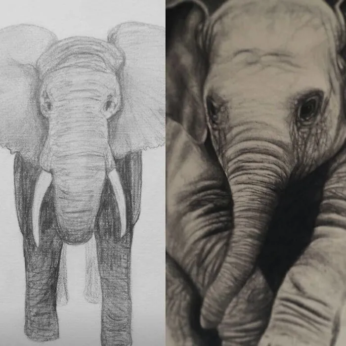2011 Vs 2015