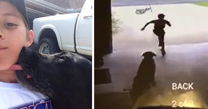 Boys Sneaks Into Neighbors' Garage Every Day To Hug Their Dog