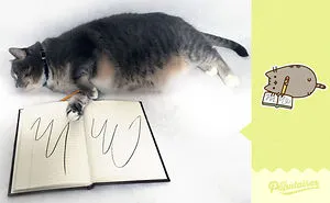 I Recreated Pusheen Stickers With My Cat (13 Pics)