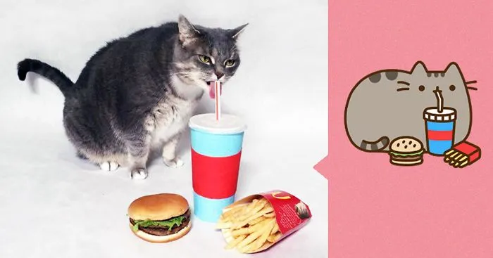 I Recreated Pusheen Stickers With My Cat (13 Pics)
