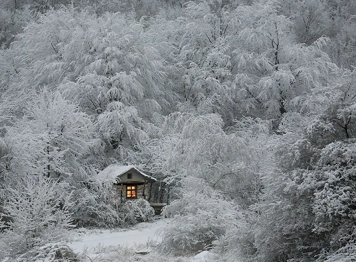 47 Lonely Little Houses To Get Away From This World