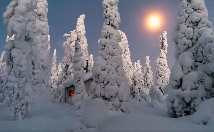 47 Lonely Little Houses To Get Away From This World