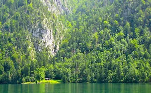 47 Lonely Little Houses To Get Away From This World