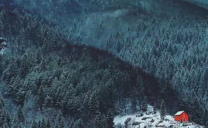 47 Lonely Little Houses To Get Away From This World