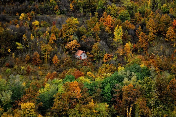 47 Lonely Little Houses To Get Away From This World