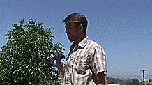 Extreme Proposal: Guy Falls Off The Building