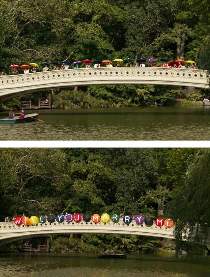 Umbrella Bridge Proposal