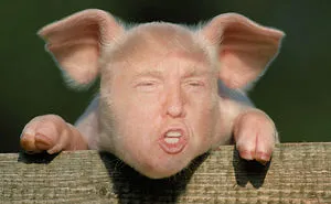 A Photo Collection Of Donald As Things