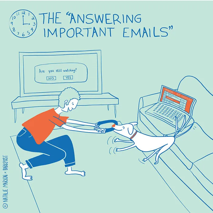 Life Of A Dog Dad In 10 Illustrations