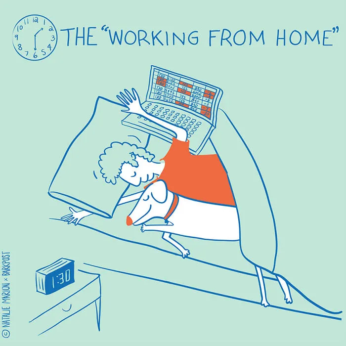 Life Of A Dog Dad In 10 Illustrations
