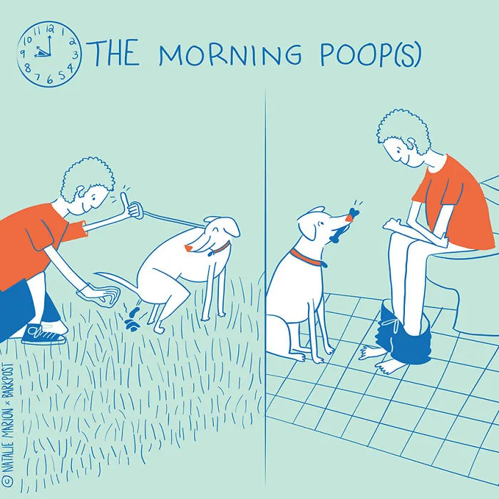 Life Of A Dog Dad In 10 Illustrations