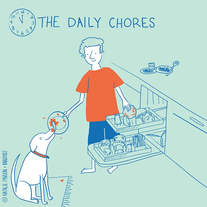 Life Of A Dog Dad In 10 Illustrations