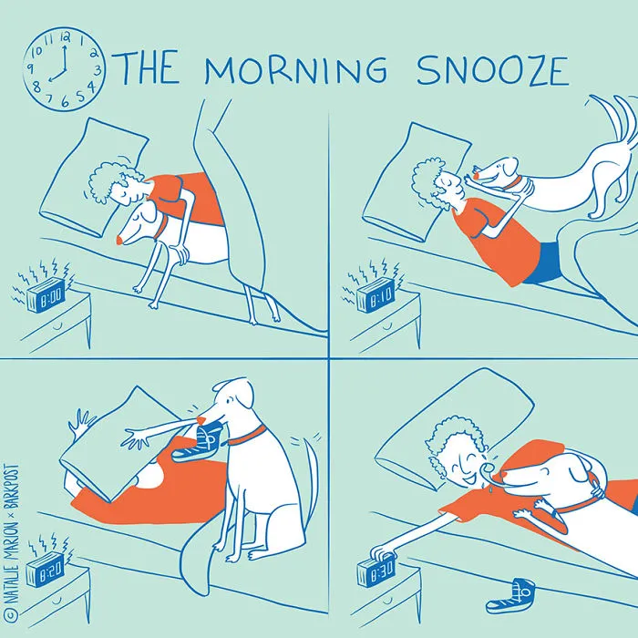 Life Of A Dog Dad In 10 Illustrations