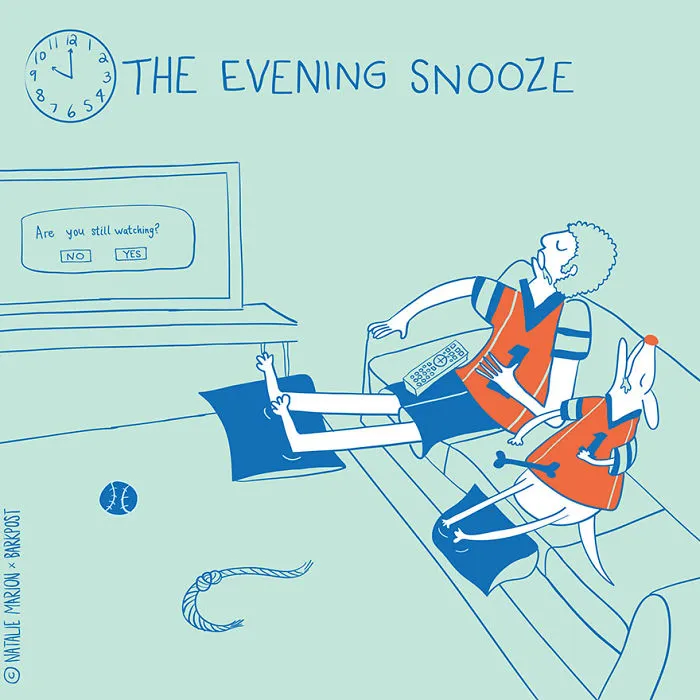 Life Of A Dog Dad In 10 Illustrations