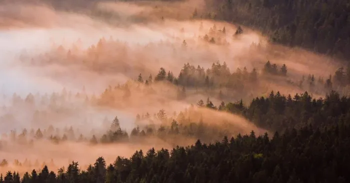 I Photographed Slovenian Countryside Illuminated By Rays Of Sun