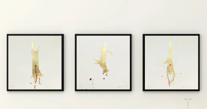 We Created A Collage Series As A Reaction On Animal Cruelty
