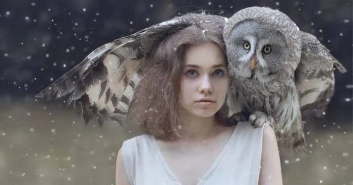 Today I Think I`m An Owl