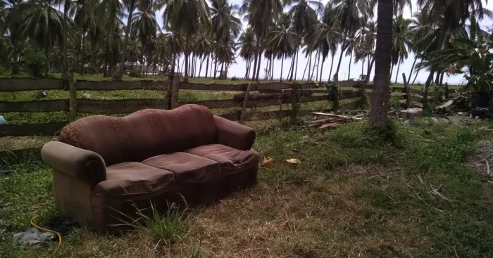 Sofa's In The Wild
